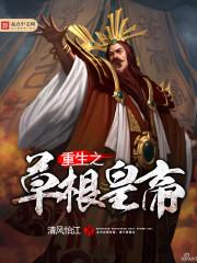 豪门赘婿齐阳