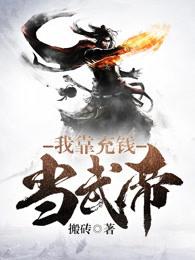 我靠充钱当武帝 笔趣阁
