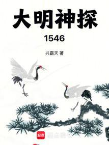 大明第一神探