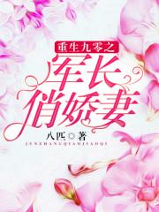 重生九零军长的俏佳妻