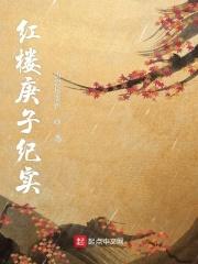 庚辰本红楼梦有多少回
